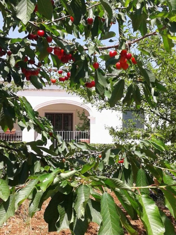 La Volpina Martina Franca Exterior foto